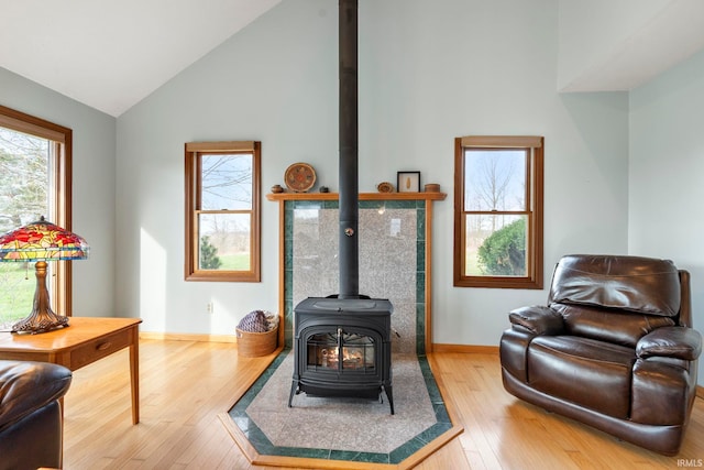 1808 County Road 18th Rd, Waterloo, IN 46793 - living area featuring wood-type flooring, a wood stove, baseboards, and a wealth of natural light