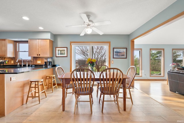 1808 County Road 18th Rd, Waterloo, IN 46793 - dining room featuring recessed lighting, a ceiling fan, a healthy amount of sunlight, and a textured ceiling