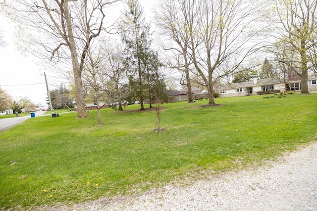 view of yard