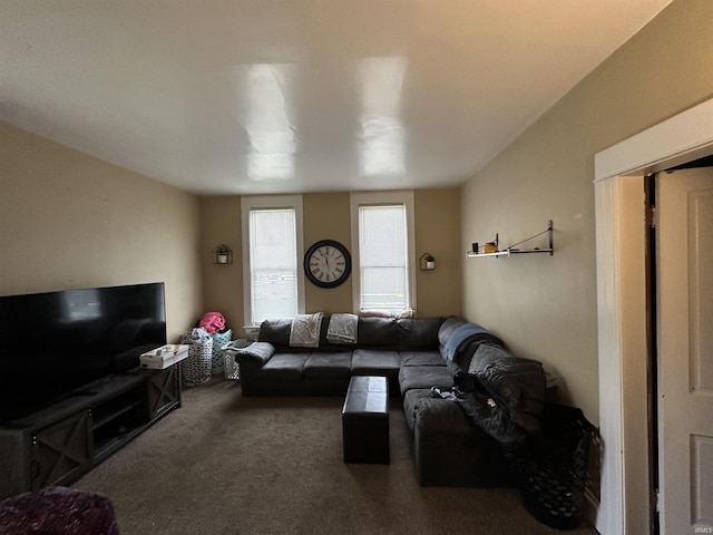 view of carpeted living area