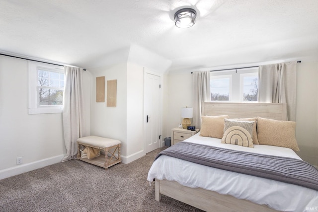 carpeted bedroom with a closet, baseboards, and multiple windows