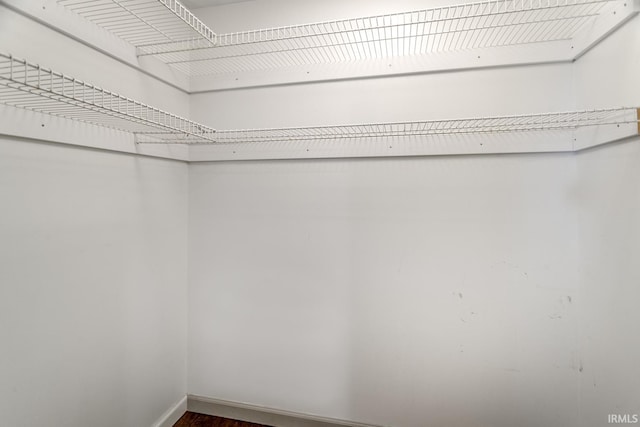 spacious closet featuring dark wood-style flooring