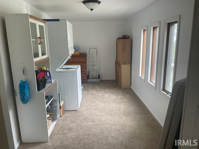 clothes washing area with light carpet