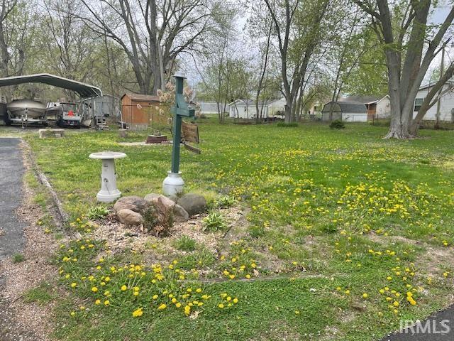 view of yard featuring a detached carport