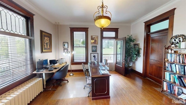 410 Riverside Dr, Jasper, IN 47546 - office featuring radiator heating unit, wood finished floors, crown molding, and baseboards