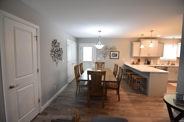 dining space featuring dark wood-style flooring