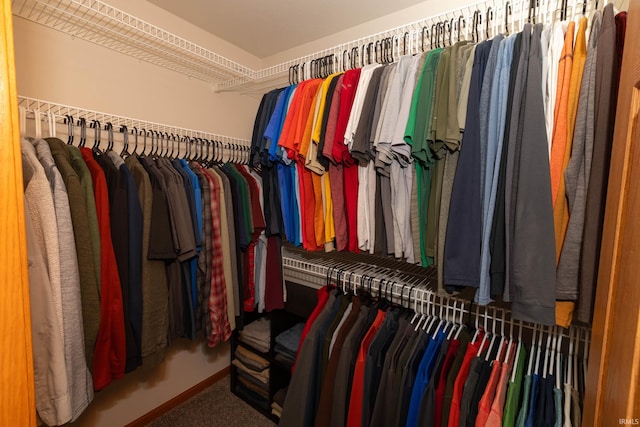 spacious closet featuring carpet flooring