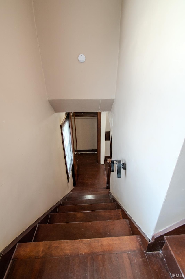 stairs featuring wood finished floors
