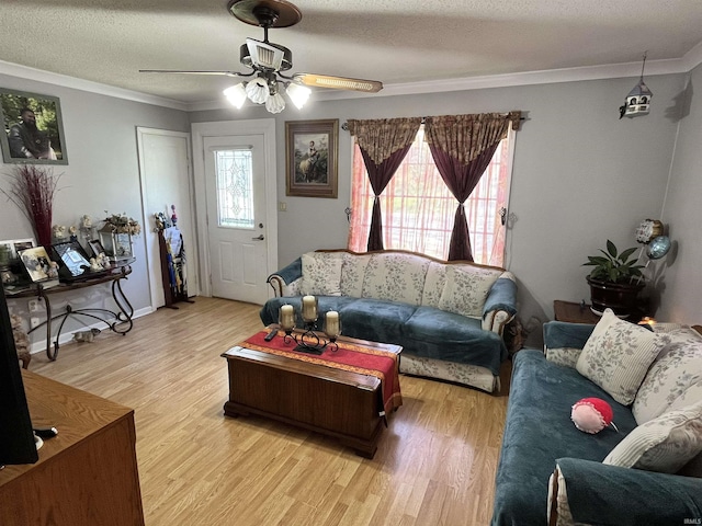 living room featuring crown molding, a ceiling fan, a textured ceiling, and light wood finished floors