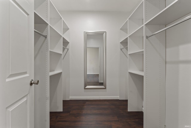spacious closet with dark wood-type flooring