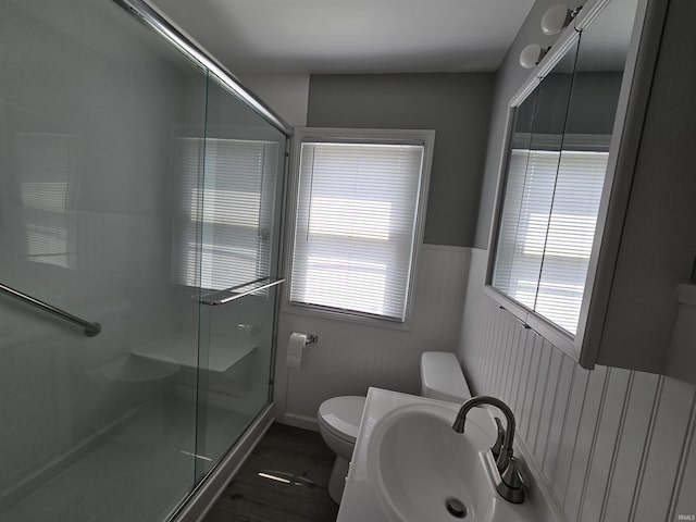 bathroom with a sink, a stall shower, a wealth of natural light, and toilet