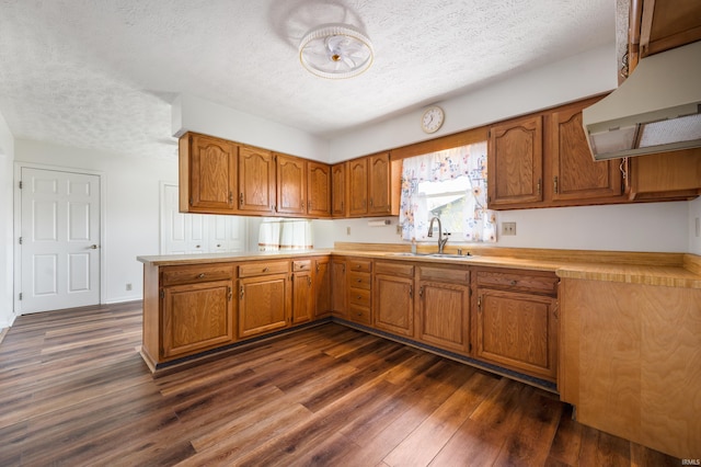 208 E Hickory Grove Rd, Hartford City, IN 47348 - kitchen with a sink, range hood, brown cabinetry, and a textured ceiling