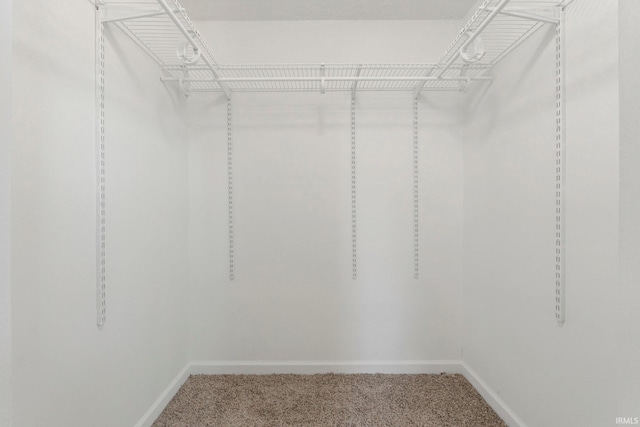 walk in closet featuring carpet