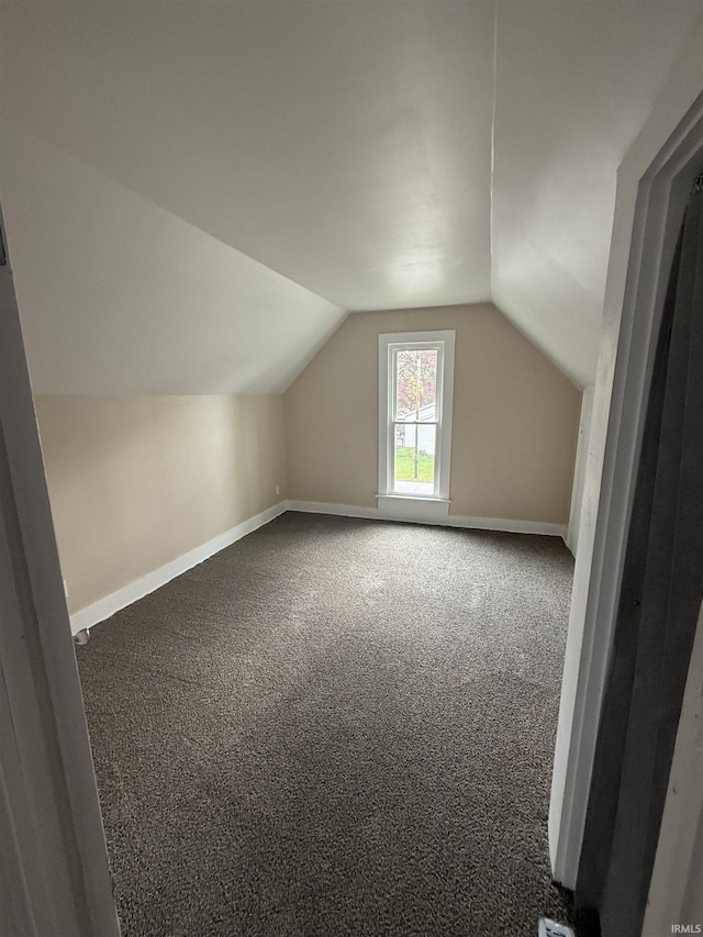 additional living space featuring baseboards, carpet flooring, and lofted ceiling