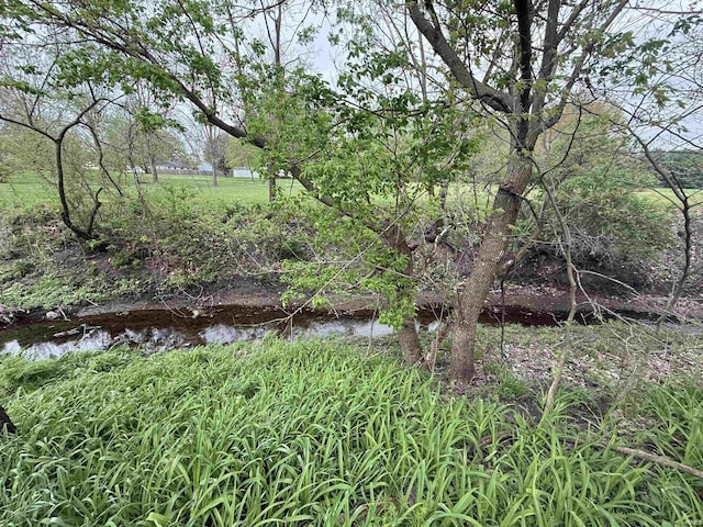 view of landscape