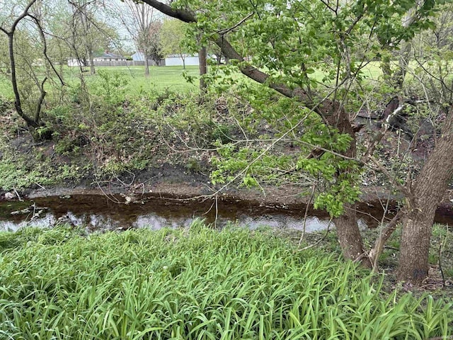 view of local wilderness
