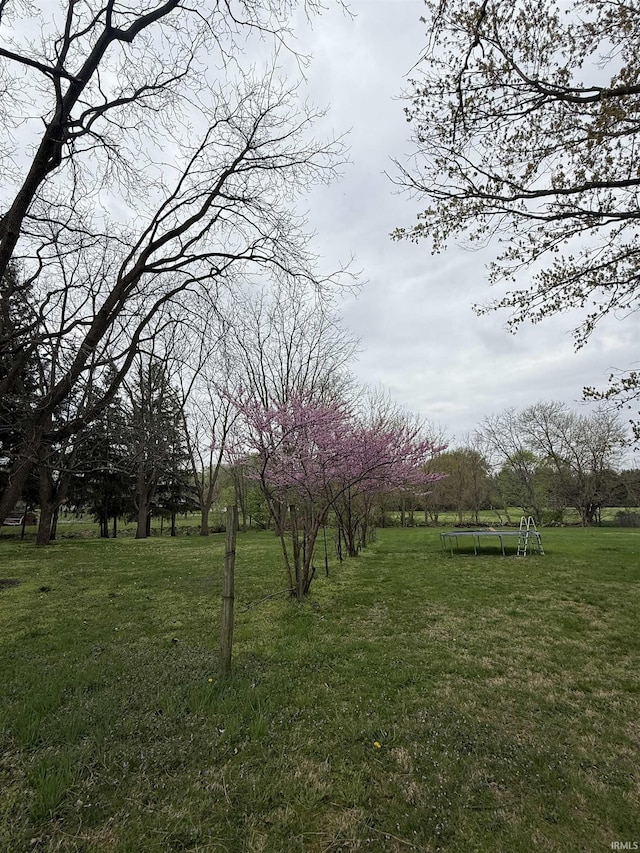 view of yard with a trampoline