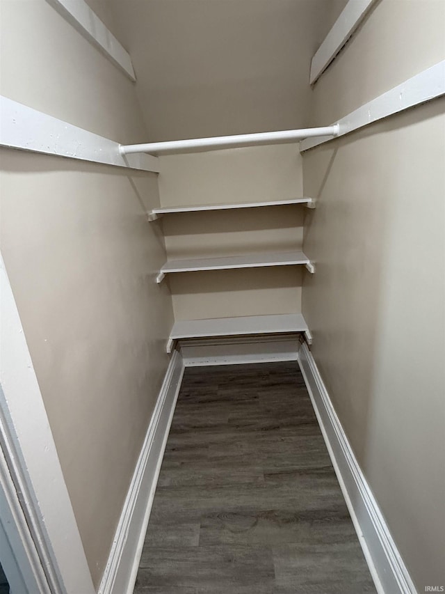 spacious closet featuring wood finished floors