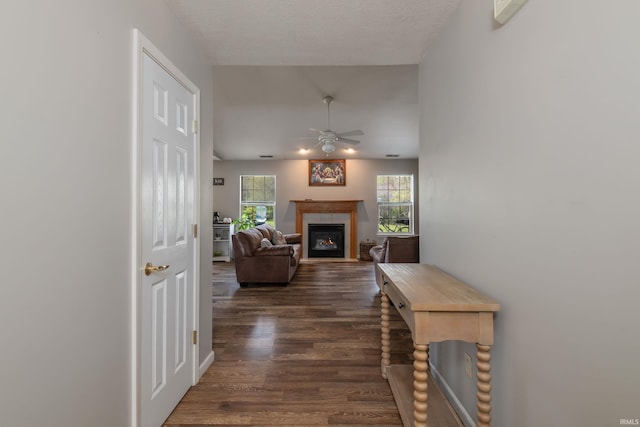 corridor featuring dark wood-style floors and plenty of natural light