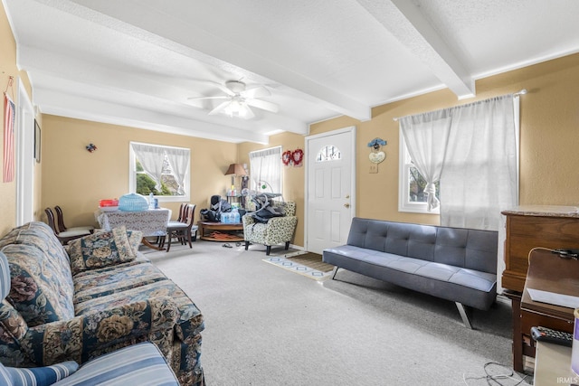 carpeted living area with ceiling fan and beam ceiling