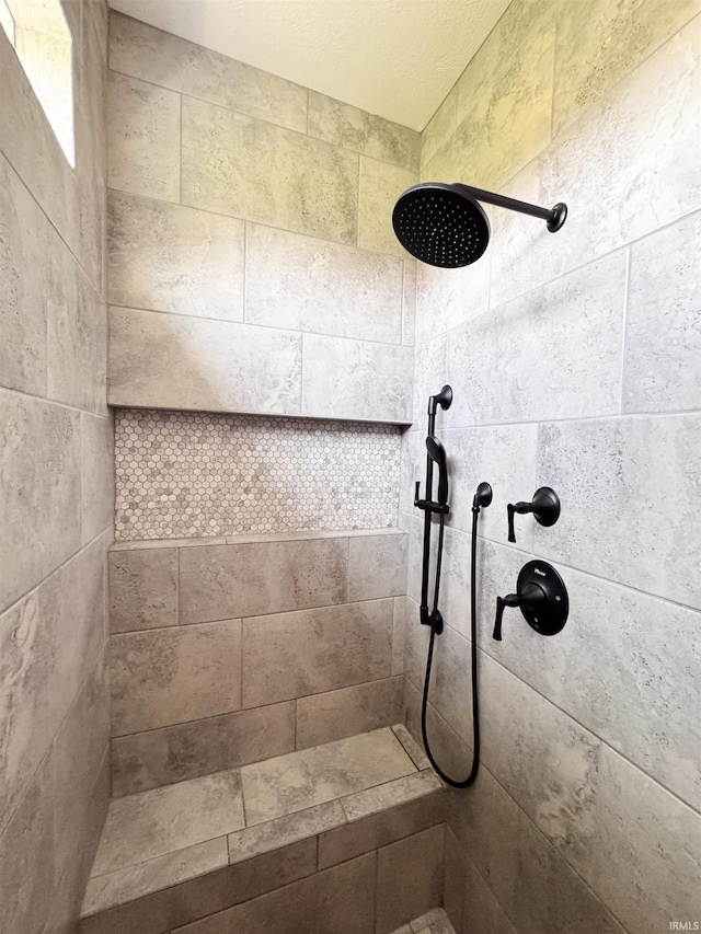 interior details with tiled shower