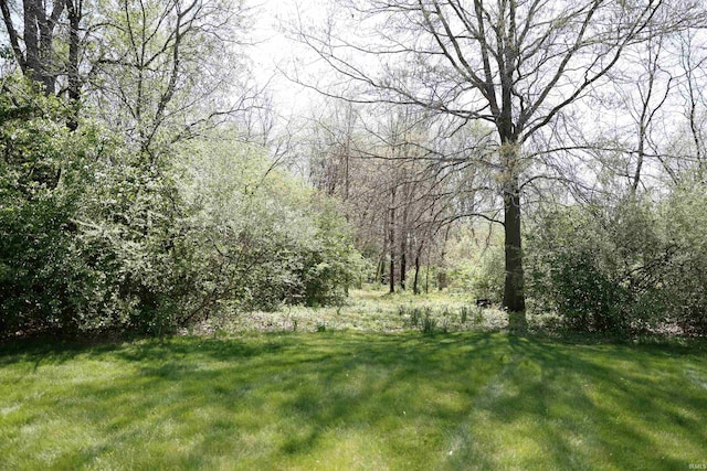 view of yard featuring a forest view