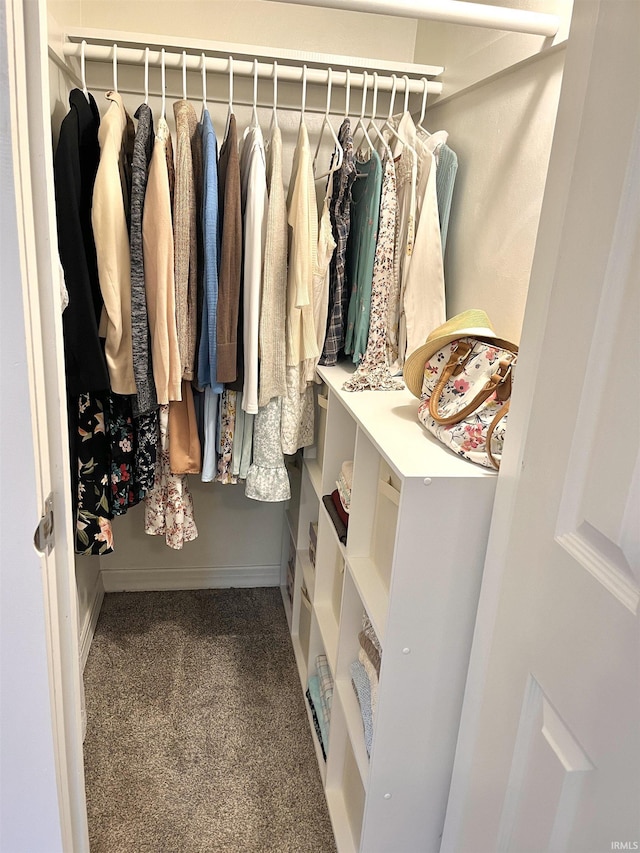 spacious closet with carpet