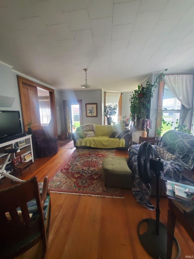 living area featuring crown molding and wood finished floors