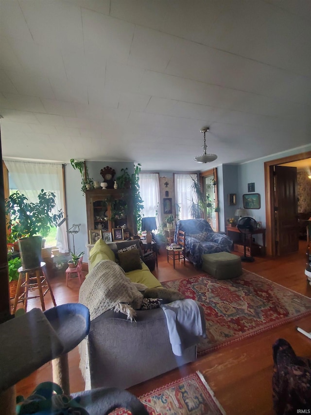 living room with a healthy amount of sunlight and wood finished floors