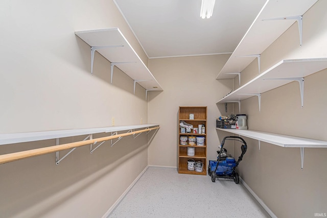 view of walk in closet