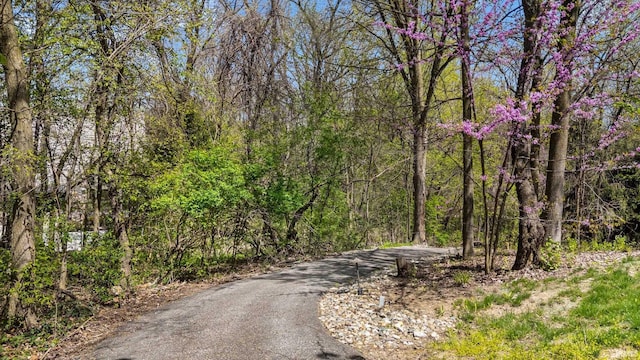 view of street featuring a view of trees