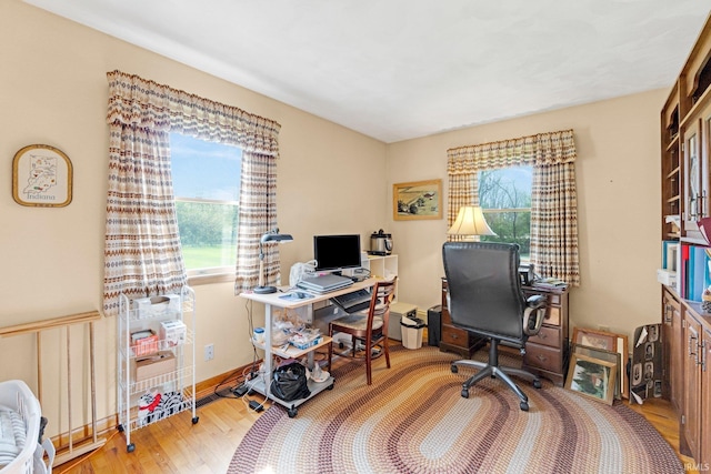 office space featuring wood finished floors