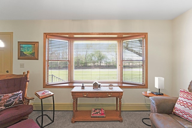 carpeted living area featuring baseboards, a wealth of natural light, and baseboard heating