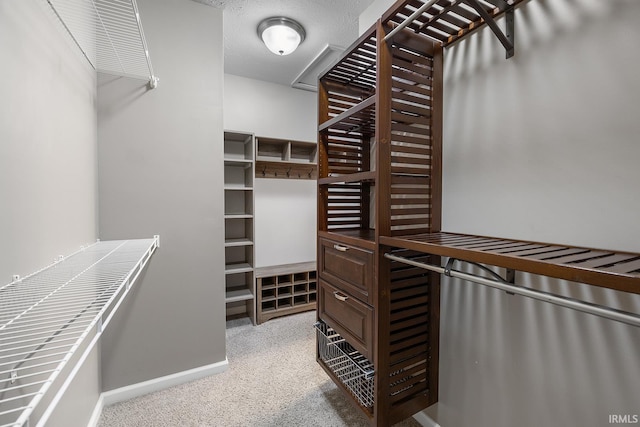 spacious closet with carpet