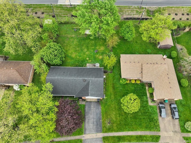 drone / aerial view