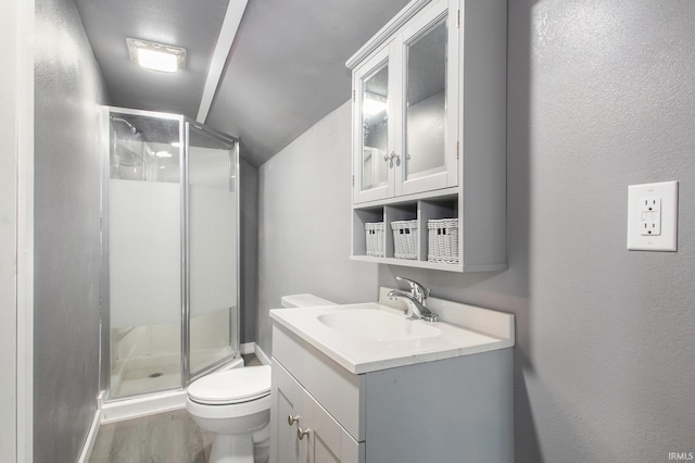 full bathroom with wood finished floors, a stall shower, toilet, and vanity