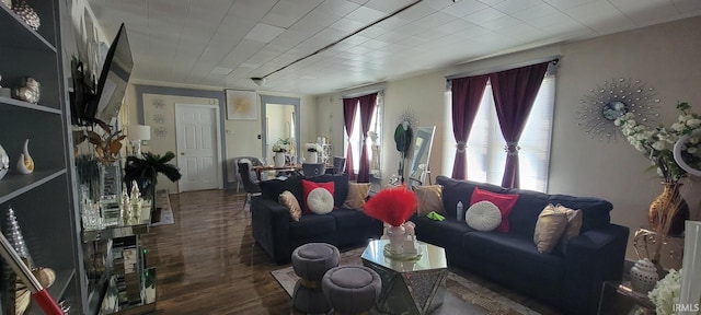 living room featuring wood finished floors