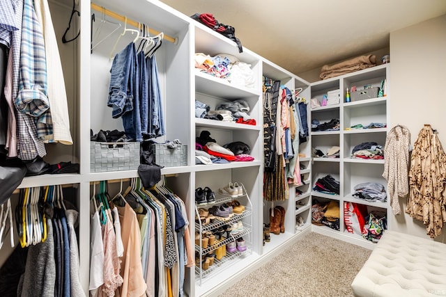 walk in closet featuring carpet