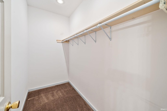 walk in closet featuring dark carpet