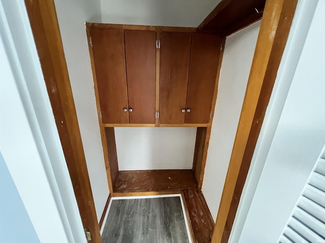 walk in closet featuring wood finished floors
