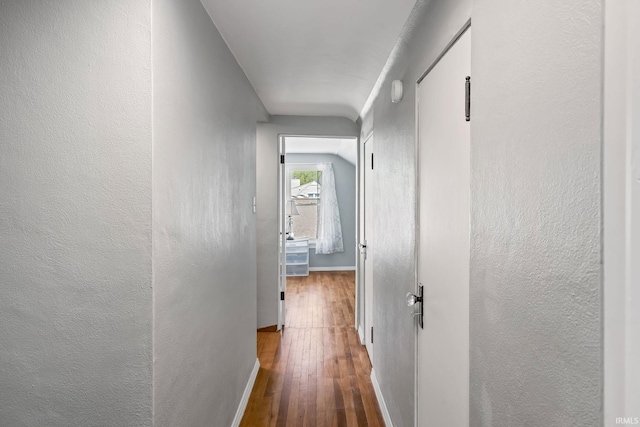 706 Ruse St, North Manchester, IN 46962 - corridor with wood-type flooring and baseboards