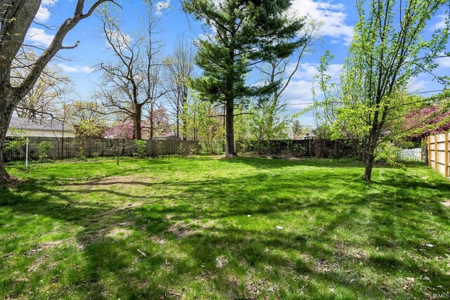 706 Ruse St, North Manchester, IN 46962 - view of yard featuring a fenced backyard