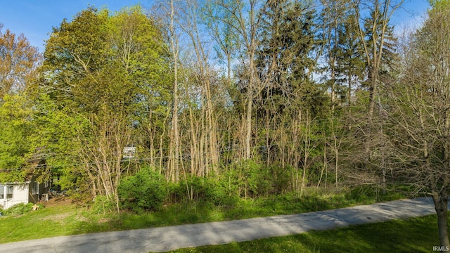 0 N Blue Bird Ln, New Carlisle, IN 46552