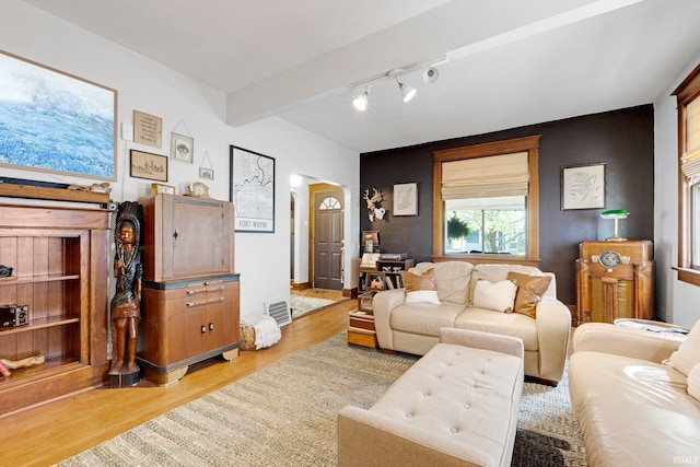 living room with light wood-type flooring and rail lighting