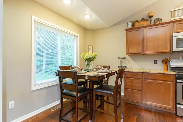dining room with baseboards, dark wood finished floors, a wealth of natural light, and lofted ceiling