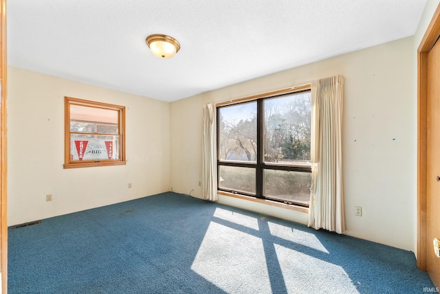 unfurnished room with plenty of natural light and carpet floors