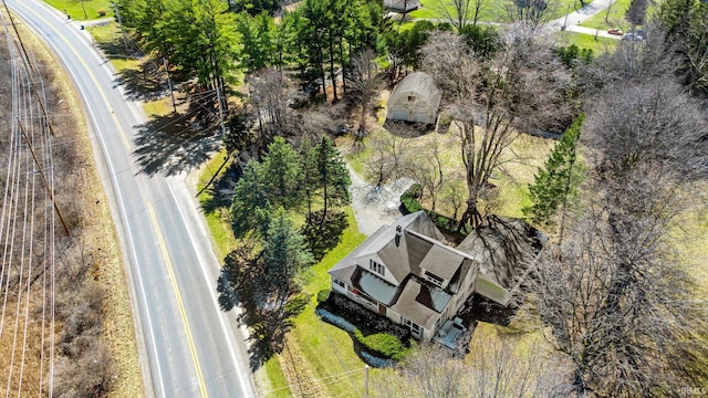 drone / aerial view