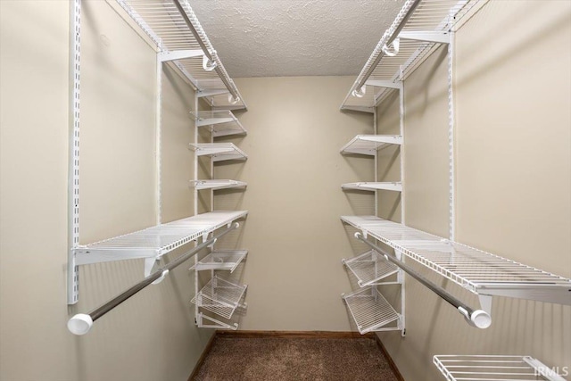 walk in closet featuring carpet