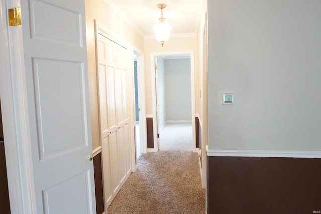 corridor with crown molding, carpet, and baseboards