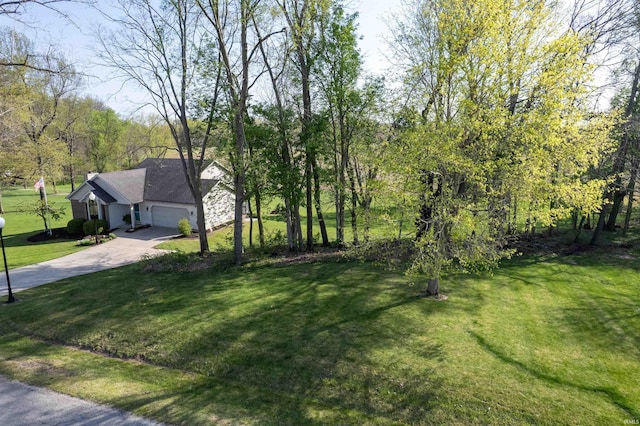 view of yard featuring an attached garage and driveway